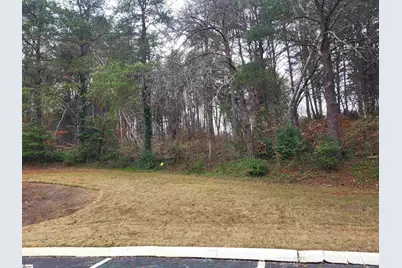 0 Pinecroft Drive, Taylors, SC 29687 - Photo 2