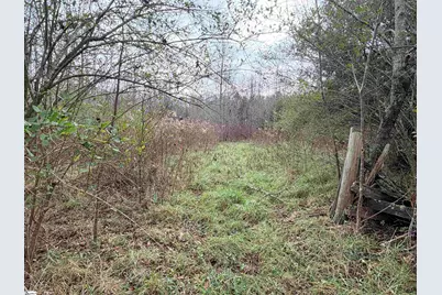 1943 Holiday Dam Road, Belton, SC 29627 - Photo 2