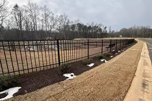 120 Brayden Run, Woodruff, SC 29388 - Photo 12