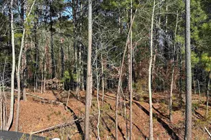 347 E Pyrenees Dr, Wellford, SC 29385 - Photo 36