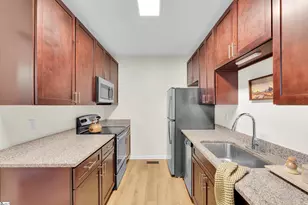 233 N Main St, Greenville, SC 29601 - Photo 8