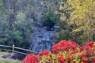 154 Broken Bow Run, Pickens, SC 29671 - Photo 8