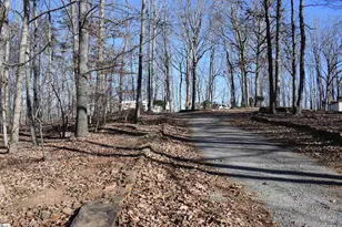 228 Wildwood Ln, Columbus, NC 28722 - Photo 46