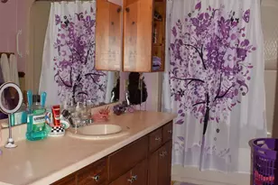 228 Wildwood Ln, Columbus, NC 28722 - Photo 14