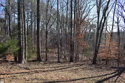 228 Wildwood Lane, Columbus, NC 28722 - Photo 50