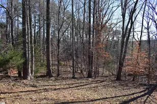 228 Wildwood Ln, Columbus, NC 28722 - Photo 50