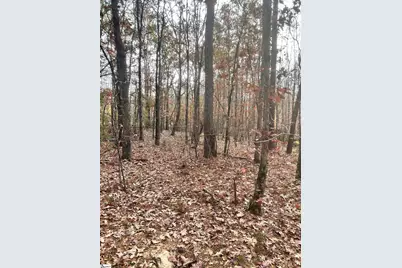 00 Harris Springs Road, Cross Hill, SC 29332 - Photo 4