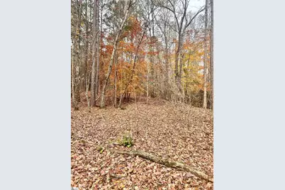 00 Harris Springs Road, Cross Hill, SC 29332 - Photo 8