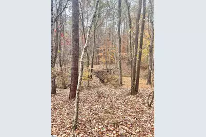 00 Harris Springs Road, Cross Hill, SC 29332 - Photo 6