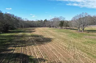 4034 Greenpond Rd, Gray Court, SC 29645 - Photo 46