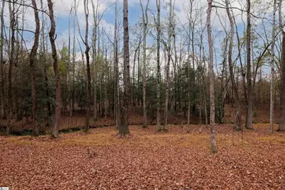 109 River Forest Lane, Greenville, SC 29615 - Photo 38