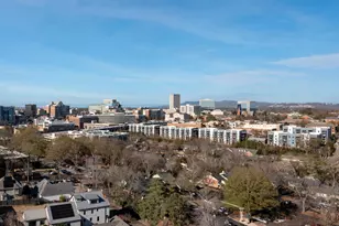 111 Sherwood St, Greenville, SC 29601 - Photo 44