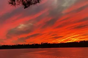 2264 Scurry Island Rd, Chappells, SC 29037 - Photo 32