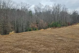 410 Ecton Pl, Greenville, SC 29605 - Photo 20