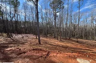 195 Susans Rd, Gaffney, SC 29341 - Photo 30