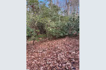 Tbd Cliff Ridge Drive, Greenville, SC 29635 - Photo 6