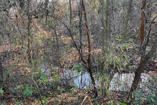 1080 Miller Farm Rd, Inman, SC 29349 - Photo 22