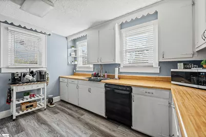 309 E Blue Ridge Drive, Greenville, SC 29609 - Photo 10