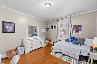 309 E Blue Ridge Dr, Greenville, SC 29609 - Photo 26