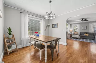 309 E Blue Ridge Dr, Greenville, SC 29609 - Photo 8