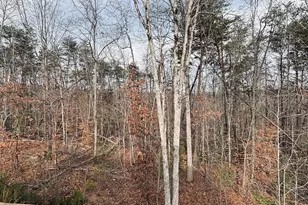 64 Worthmore Ct, Travelers Rest, SC 29690 - Photo 6