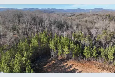 38 Old Plantation Road, Travelers Rest, SC 29690 - Photo 30