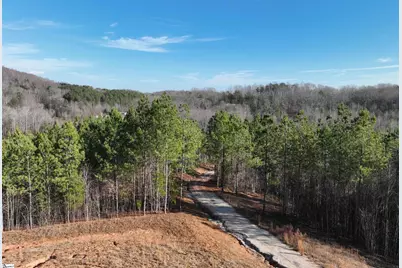 38 Old Plantation Road, Travelers Rest, SC 29690 - Photo 20