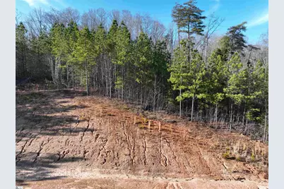38 Old Plantation Road, Travelers Rest, SC 29690 - Photo 22