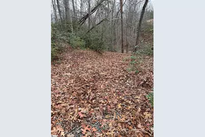 00 Jackson Cove Road #Lot 2, Mill Spring, NC 28756 - Photo 8