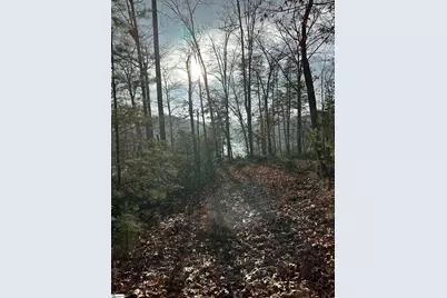 00 Jackson Cove Road #Lot 2, Mill Spring, NC 28756 - Photo 4