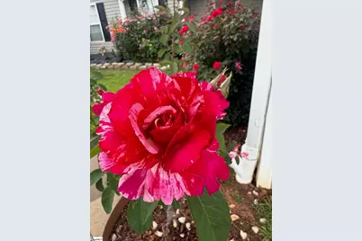 5 Rivereen Way, Simpsonville, SC 29680 - Photo 24