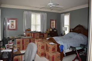 3 Rustic Ct, Landrum, SC 29356 - Photo 22