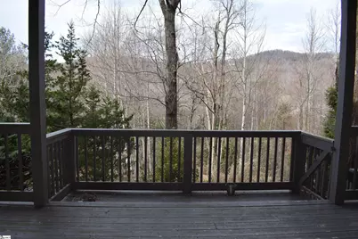 3 Rustic Court, Landrum, SC 29356 - Photo 44