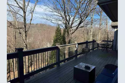 3 Rustic Court, Landrum, SC 29356 - Photo 34