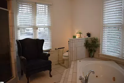 3 Rustic Court, Landrum, SC 29356 - Photo 20