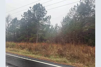 000 Riverfork Road, Waterloo, SC 29384 - Photo 1