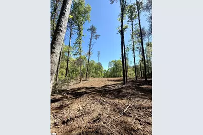 0 Thompson Road #Lot 2, Greer, SC 29651 - Photo 24