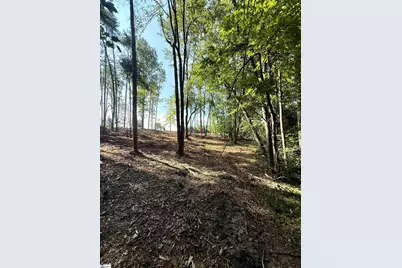 0 Thompson Road #Lot 2, Greer, SC 29651 - Photo 10