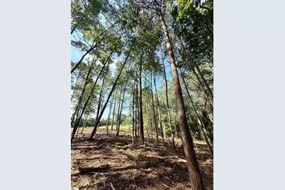 0 Thompson Road #Lot 2, Greer, SC 29651 - Photo 18