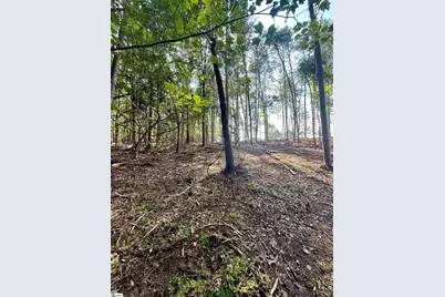 0 Thompson Road #Lot 2, Greer, SC 29651 - Photo 8