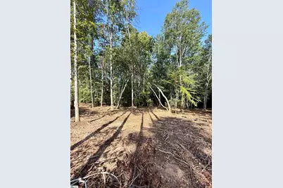 0 Thompson Road #Lot 2, Greer, SC 29651 - Photo 6