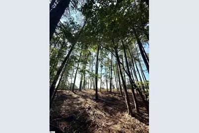 0 Thompson Road #Lot 2, Greer, SC 29651 - Photo 16