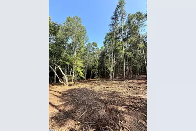 0 Thompson Road #Lot 2, Greer, SC 29651 - Photo 4