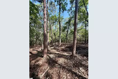 0 Thompson Road #Lot 2, Greer, SC 29651 - Photo 12
