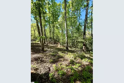 0 Thompson Road #Lot 2, Greer, SC 29651 - Photo 26