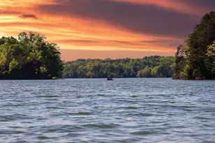 470 Sweetbay Dr, Seneca, SC 29678 - Photo 24