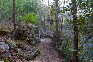 159 Burdine Creek Dr, Easley, SC 29640 - Photo 46