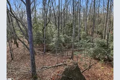 1111 Fork Shoals Road, Greenville, SC 29605 - Photo 28