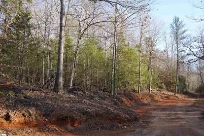 450 S Packs Mountain Road, Taylors, SC 29687 - Photo 24