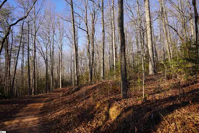 450 S Packs Mountain Road, Taylors, SC 29687 - Photo 30